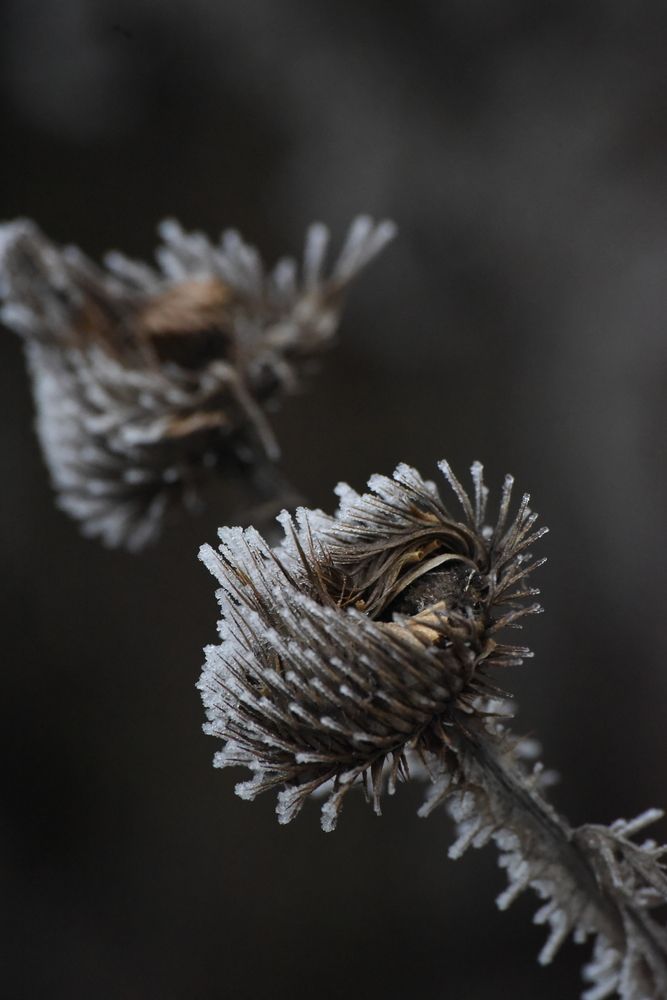 Photograph by Наталья Маслова