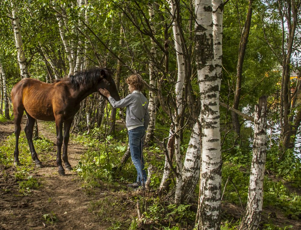 Photograph by Михаил Строев