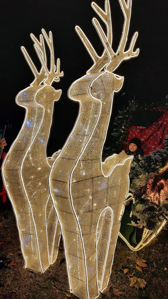 Photograph by Mila Nikolova