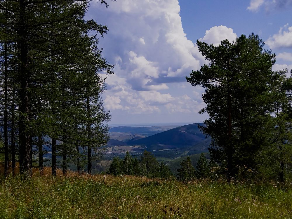 Photo #13003448