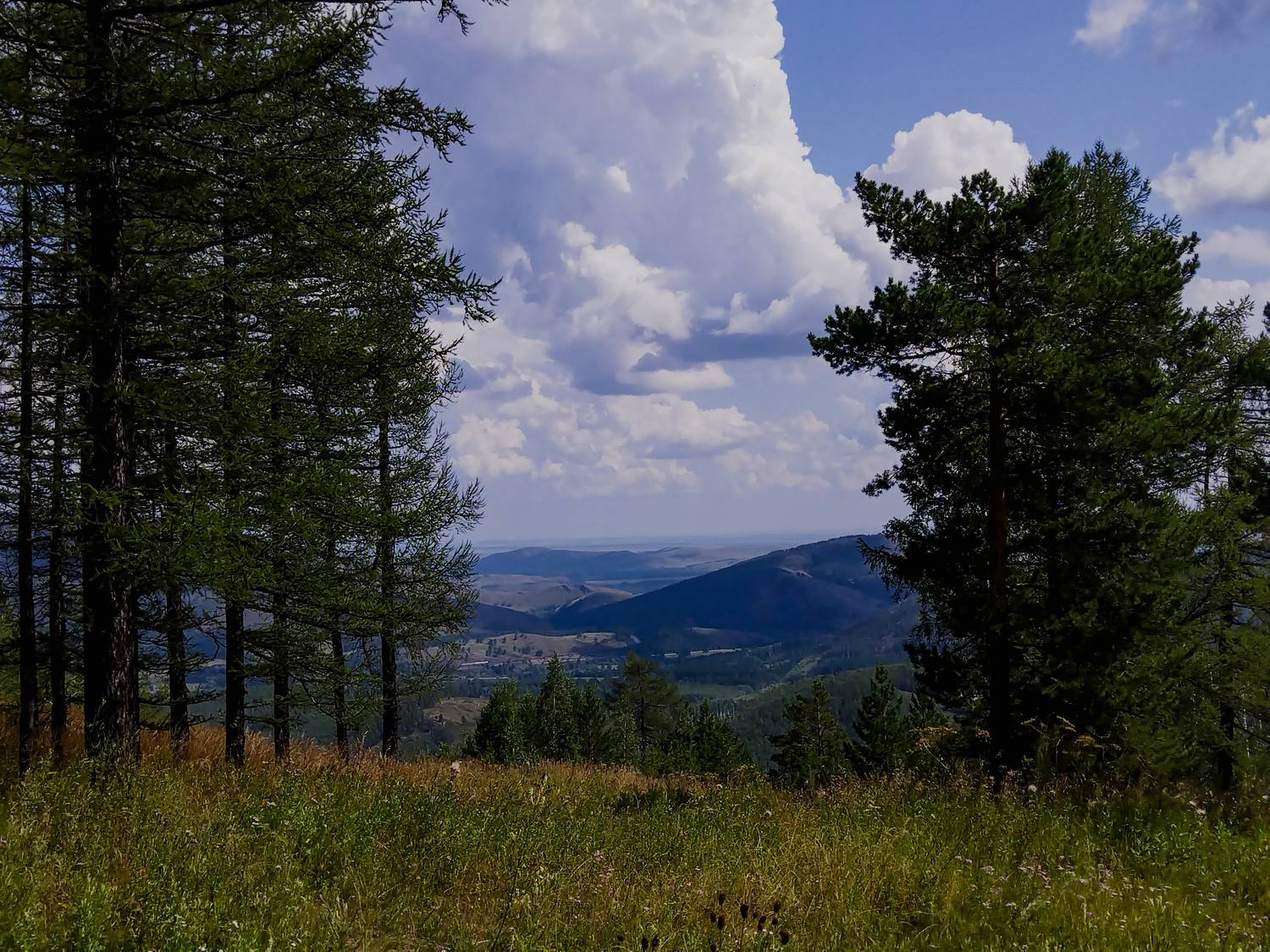 Photo #13003448