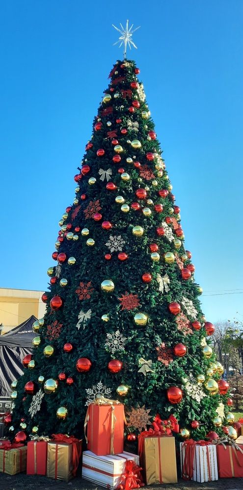 Photograph by Mila Nikolova