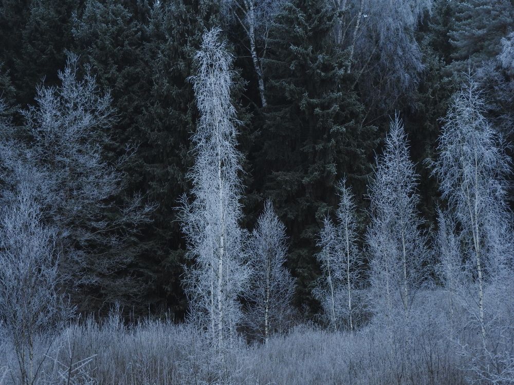 Фотография автора YURY RAMITSAN