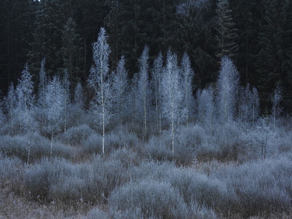 Фотография автора YURY RAMITSAN