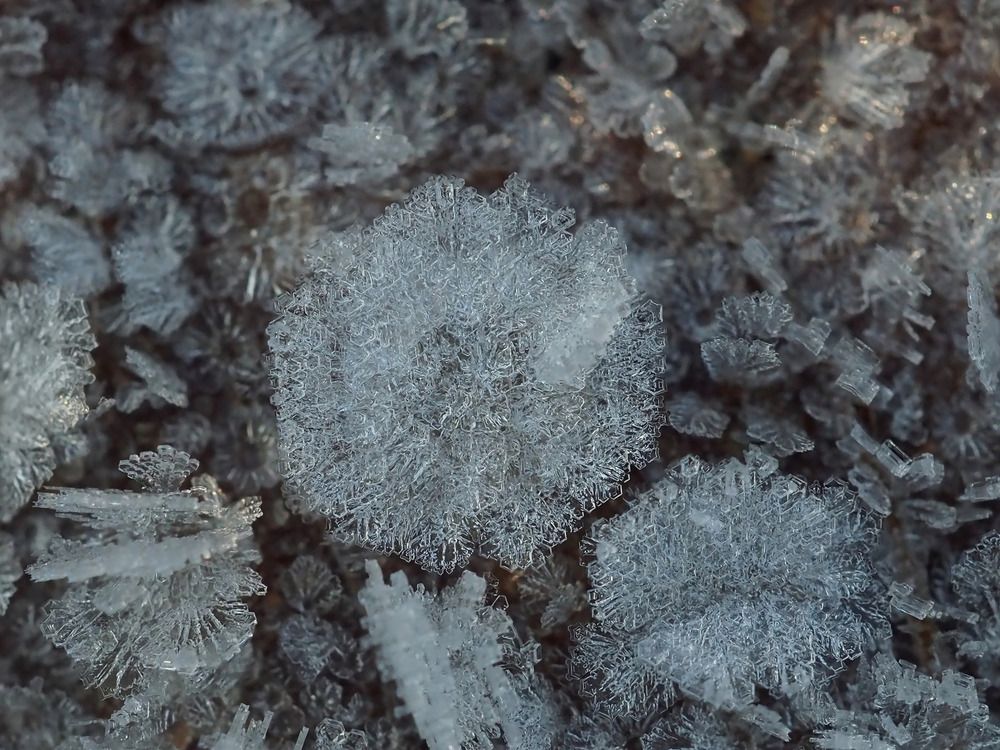 Photograph by Елена Харитонова