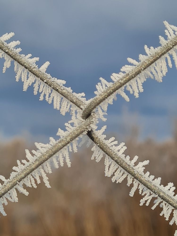Photograph by Ирина Хлебникова
