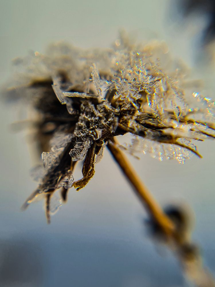 Photograph by Ирина Хлебникова