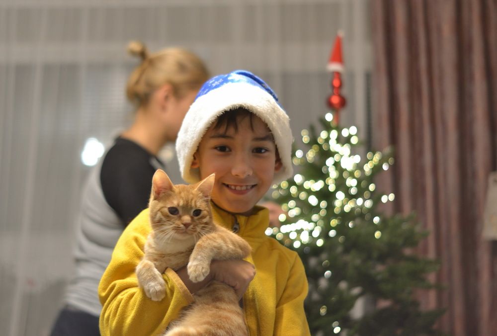 Photograph by Алексей