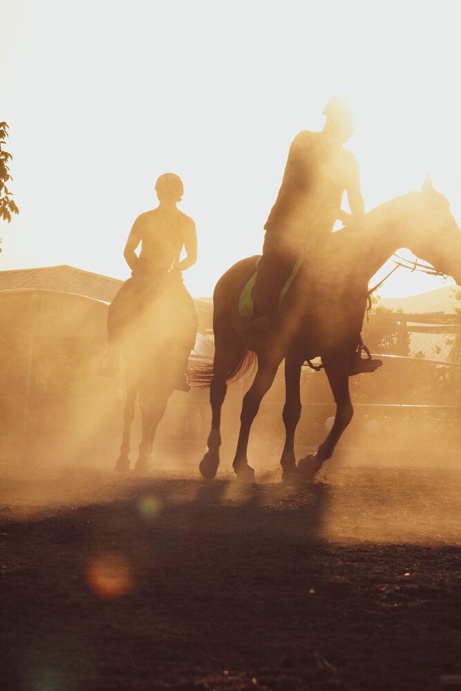 Photograph by javad abolhassani