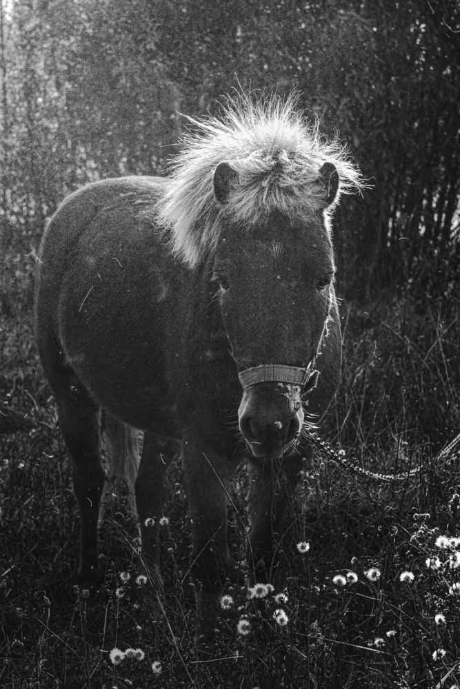 Фотография автора Ирина Гриценко