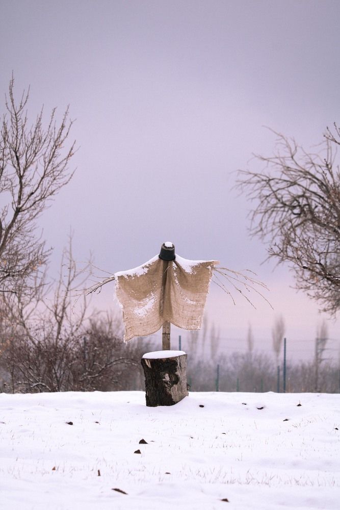 Photograph by javad abolhassani