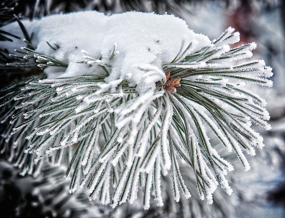 Фотография автора Гоголев Игорь
