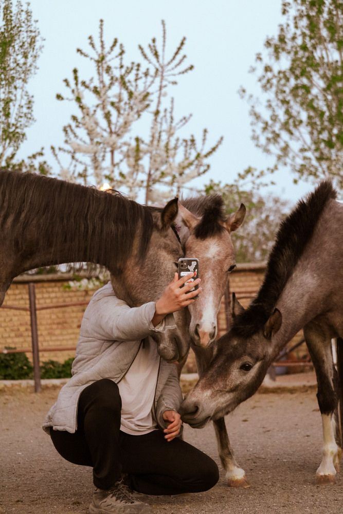 Photograph by javad abolhassani