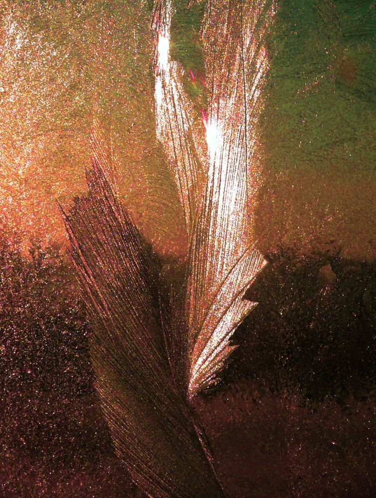 Photograph by Александр Бастраков