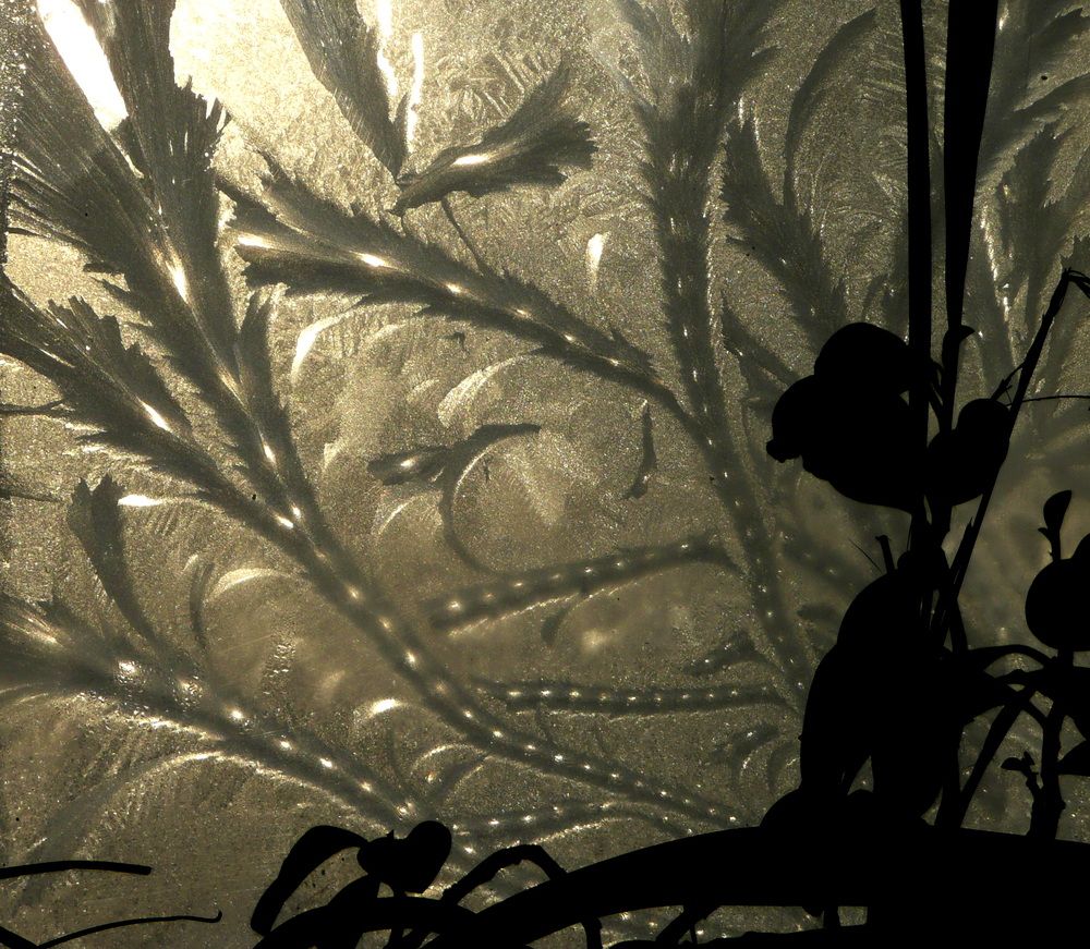 Photograph by Александр Бастраков