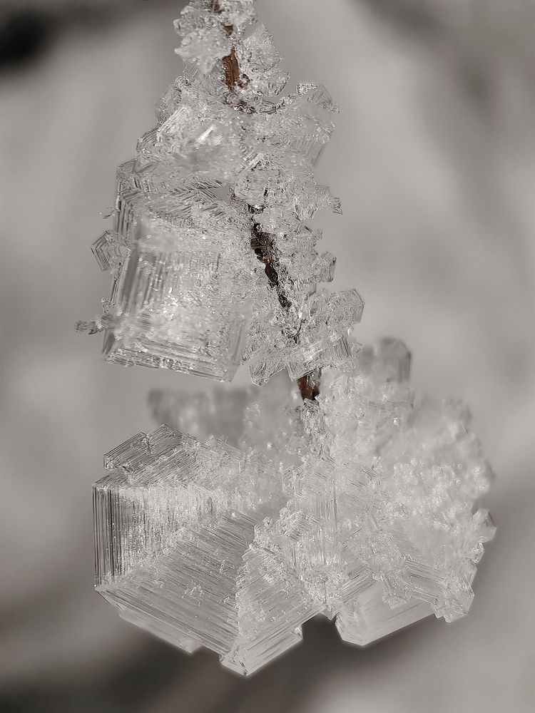 Photograph by OLGA MIKHNEVICH