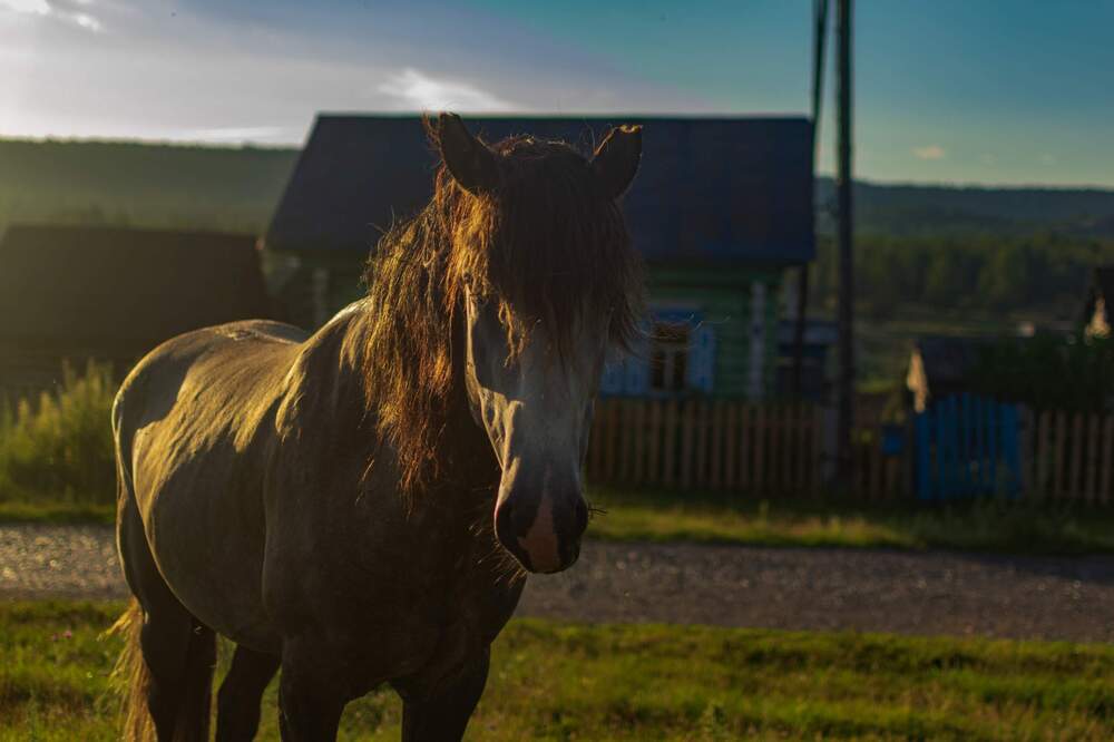 Photograph by Назмутдинова Сауия