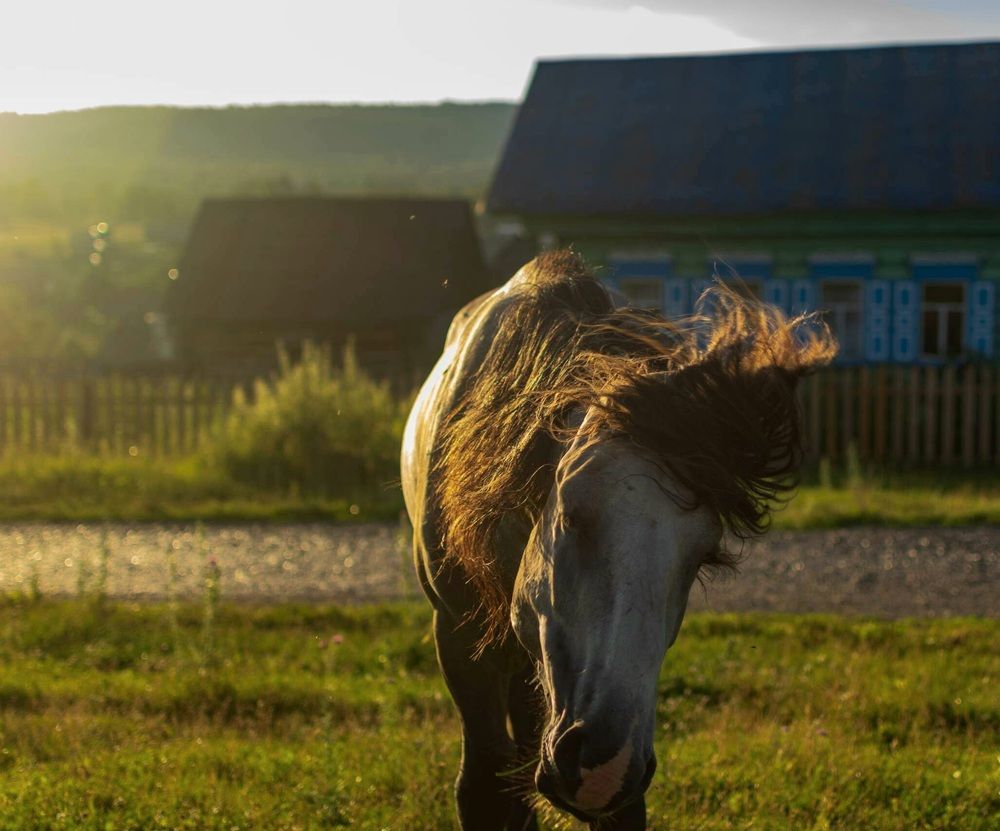 Photograph by Назмутдинова Сауия