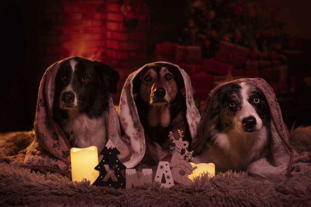 Photograph by Tamara Lebón Sánchez