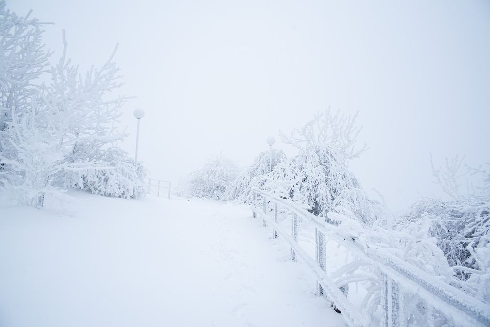 Фотография автора Иван Губский