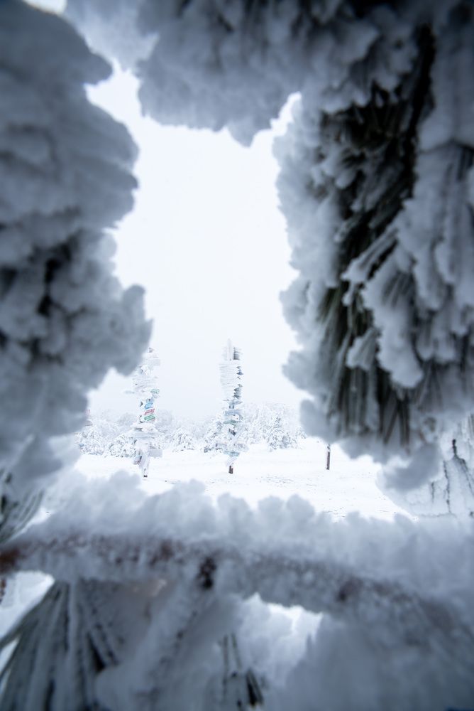 Фотография автора Иван Губский