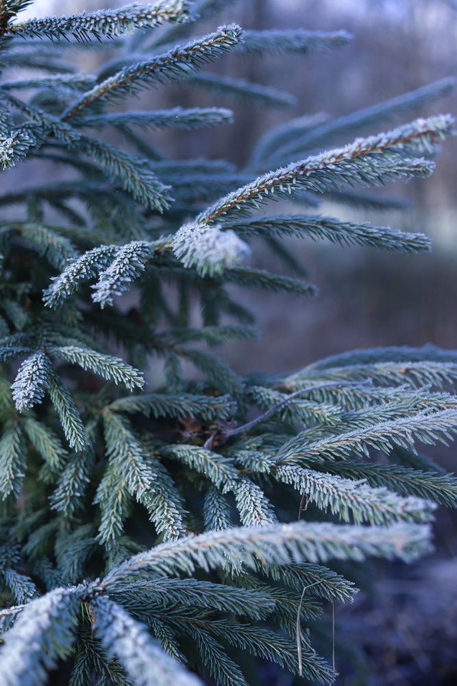 Photograph by Руслана Ковалевская