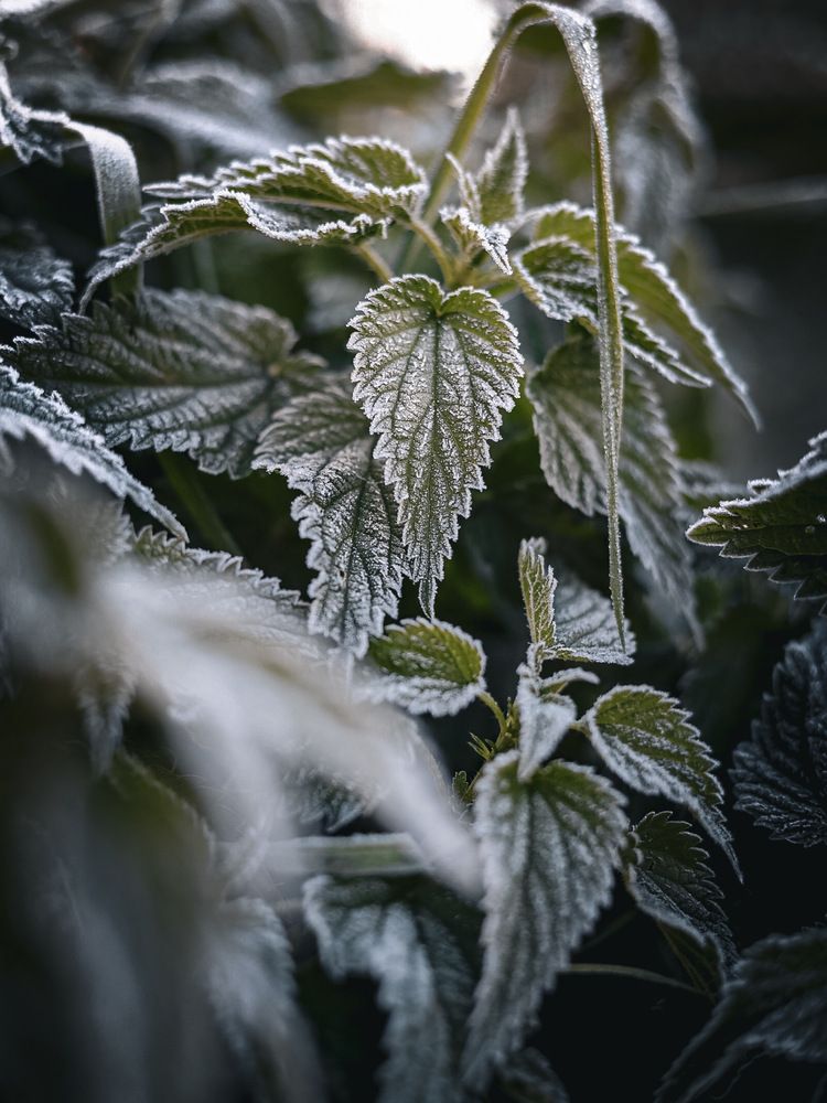 Photograph by Руслана Ковалевская