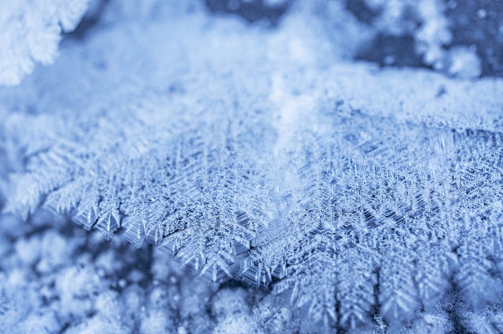 Photograph by Елена Гоосен