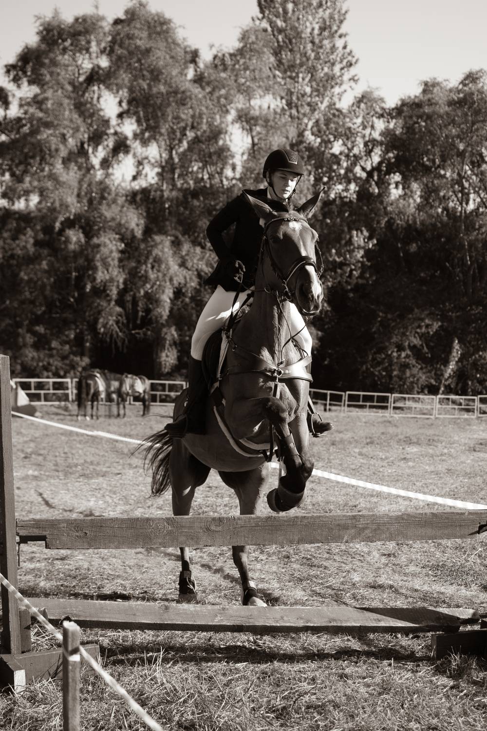 Photo #13003722