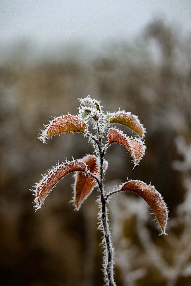 Photograph by Сергей Конюшенко
