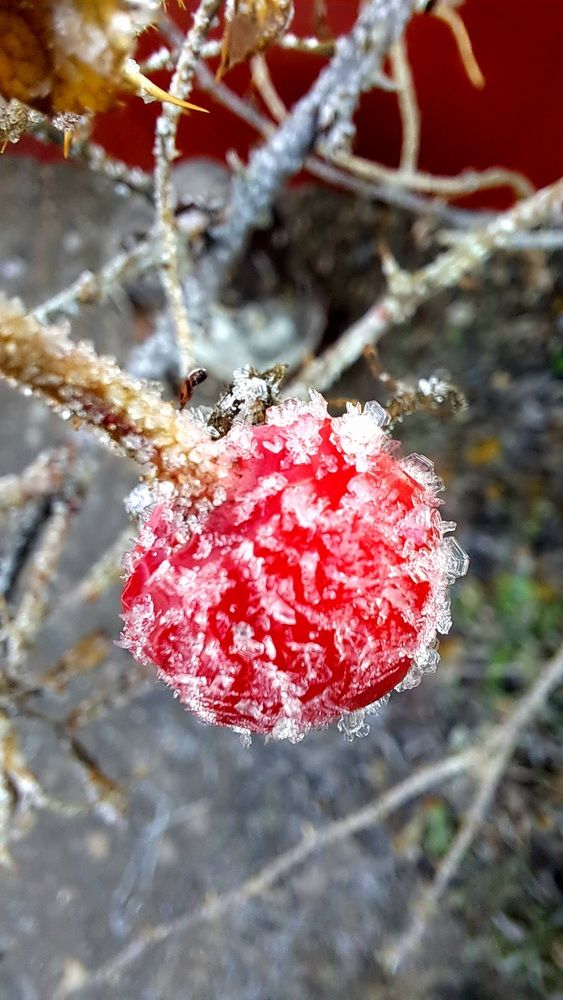 Photograph by Николай Худяков