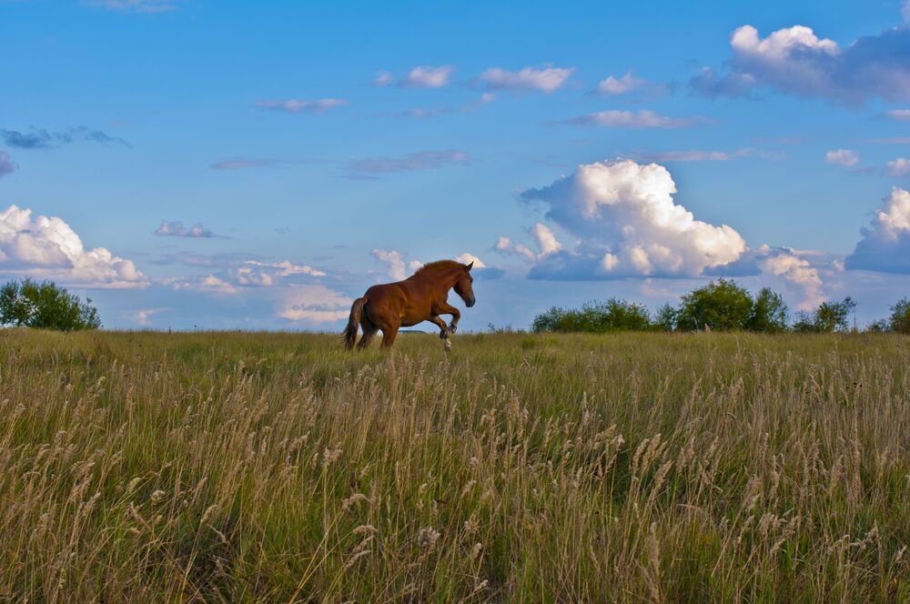 Photograph by Дмитрий Жуков