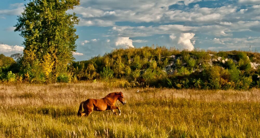 Photograph by Дмитрий Жуков