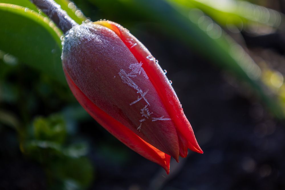 Photograph by Юлия Мальнева