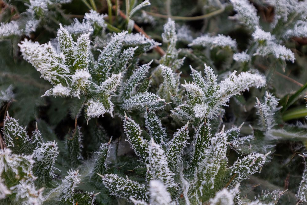 Photograph by Юлия Мальнева