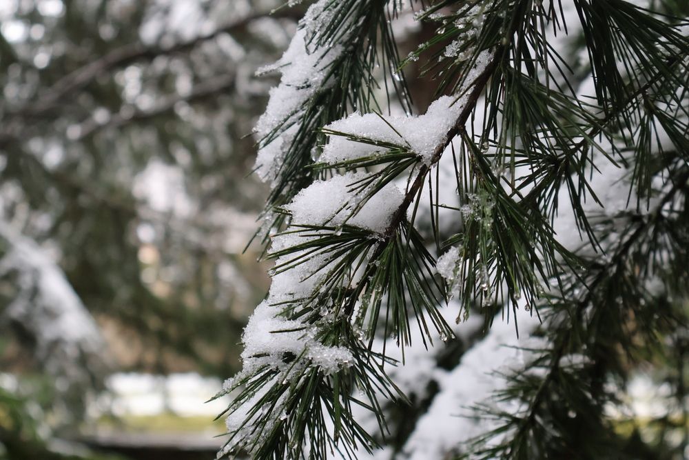 Photograph by DH33RAJ RAJ3SH