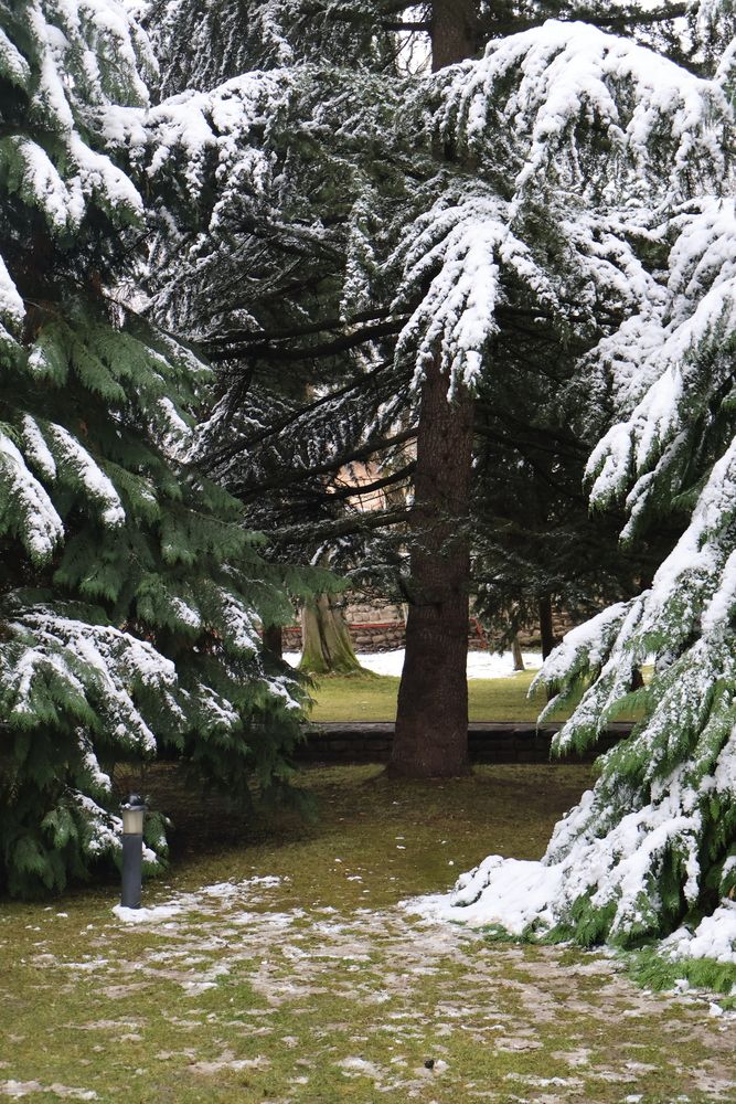 Photograph by DH33RAJ RAJ3SH