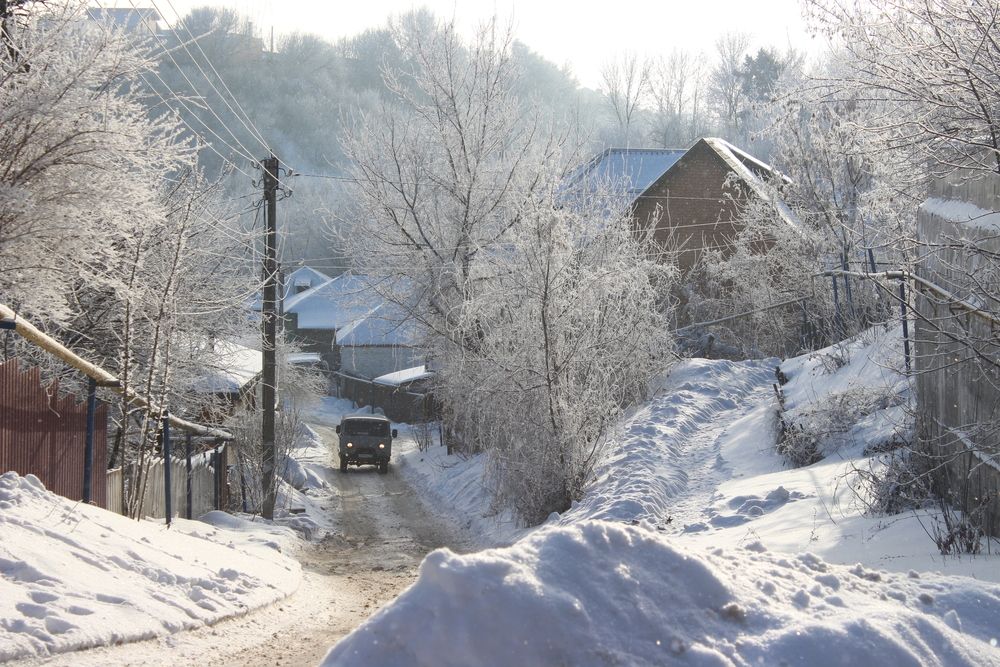 Photograph by Светлана Шубина