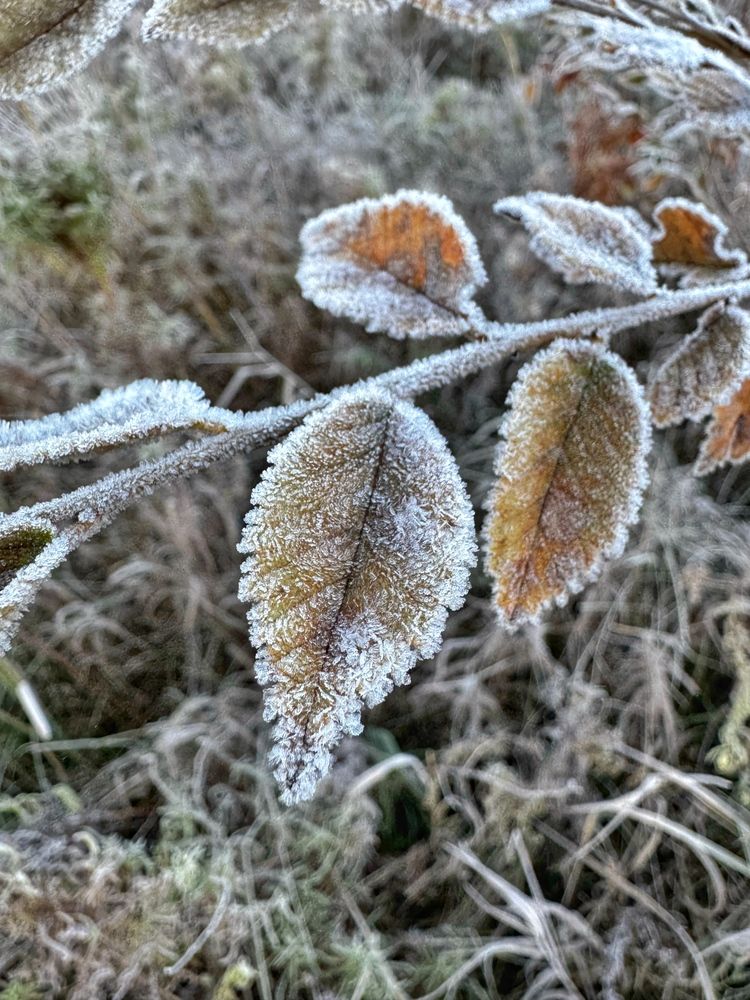 Photograph by Сергей Хранитель