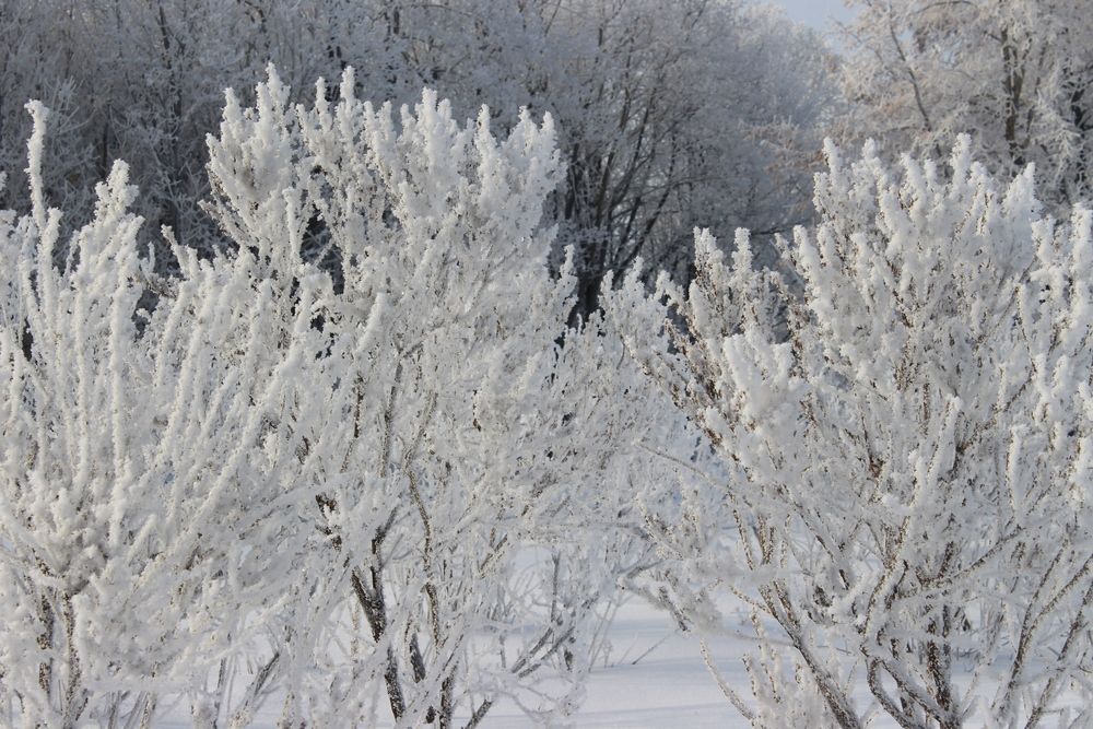 Photograph by Светлана Шубина