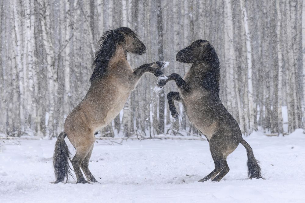 Фотография автора Валерия Трейтяк