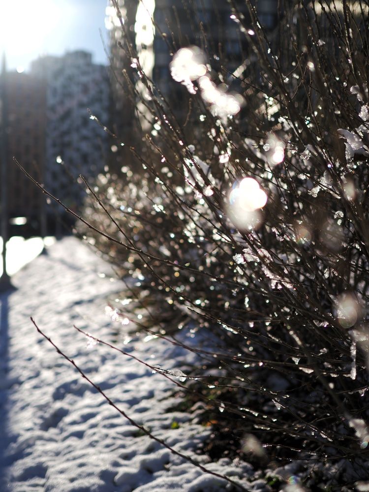 Photograph by Валерия