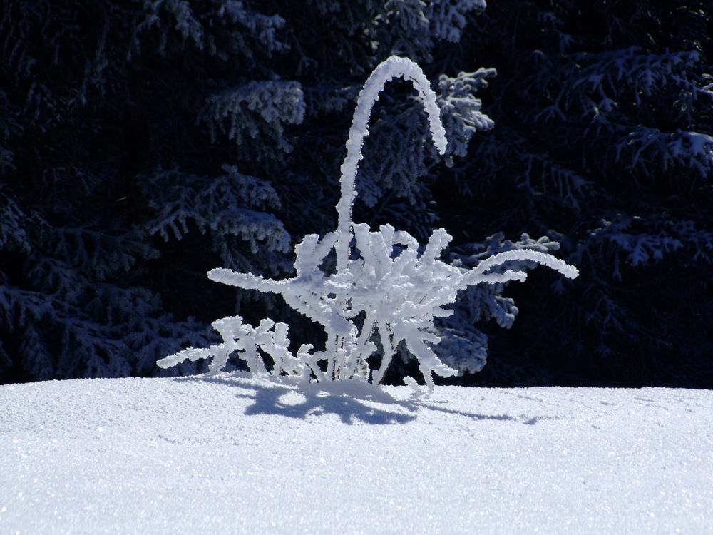 Photograph by Cengiz Yalcin