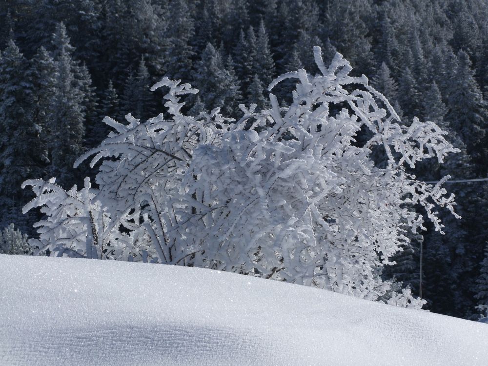 Photograph by Cengiz Yalcin