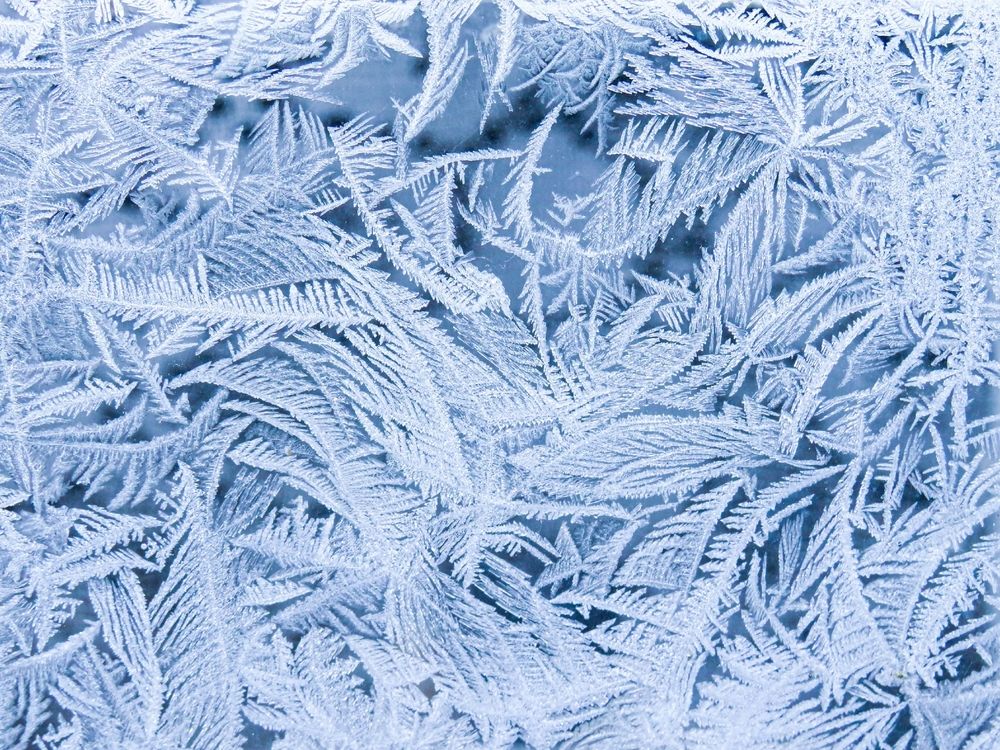 Photograph by Елена Гарипова