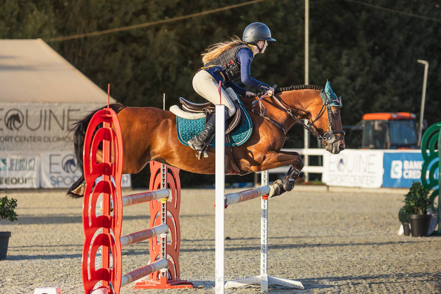 Фотография #13003841