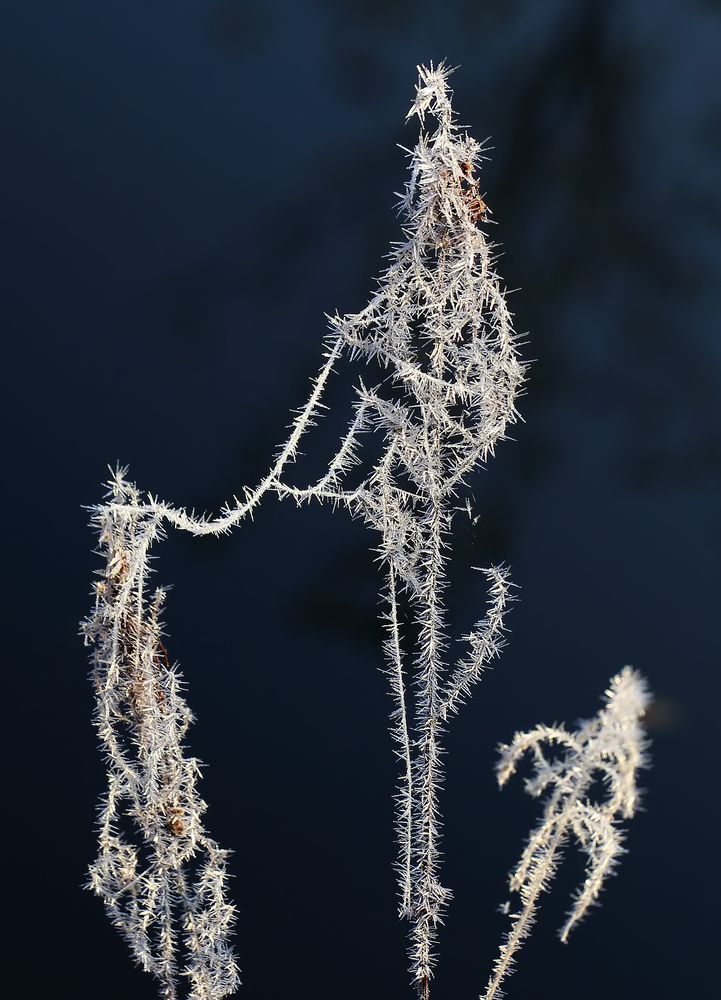 Photograph by Борис Новиков