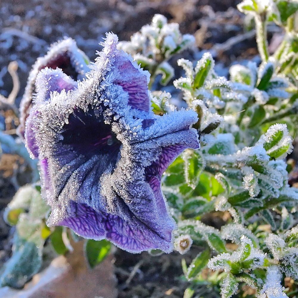 Photograph by Игорь Чеботарёв