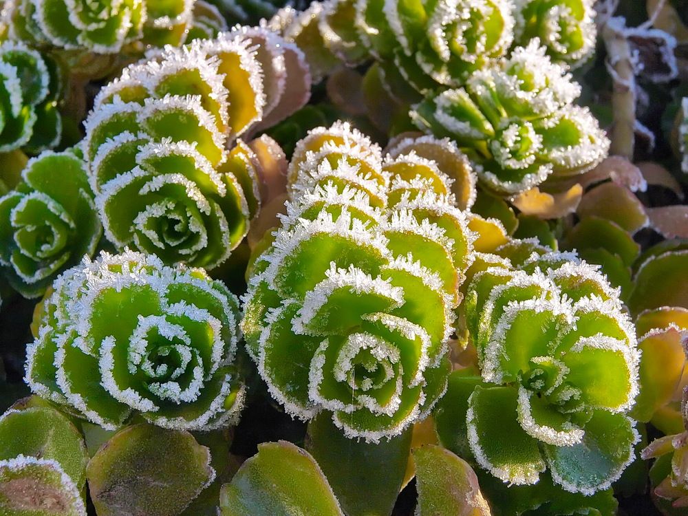 Photograph by Игорь Чеботарёв