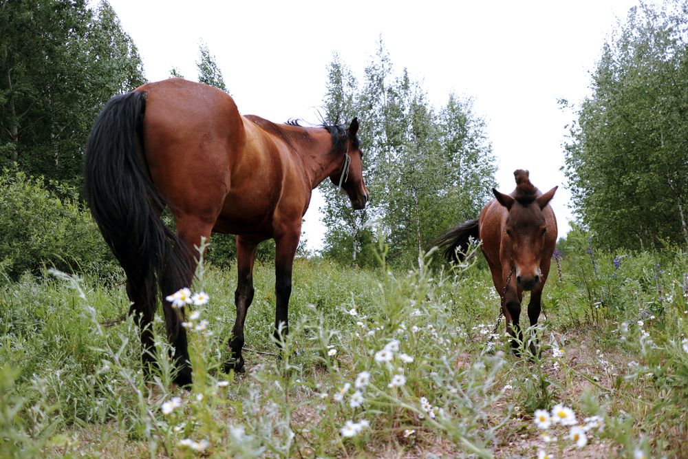 Фотография автора Артем Гатин